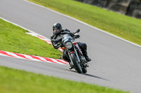 Oulton-Park-21st-March-2020;PJ-Motorsport-Photography-2020;anglesey;brands-hatch;cadwell-park;croft;donington-park;enduro-digital-images;event-digital-images;eventdigitalimages;mallory;no-limits;oulton-park;peter-wileman-photography;racing-digital-images;silverstone;snetterton;trackday-digital-images;trackday-photos;vmcc-banbury-run;welsh-2-day-enduro